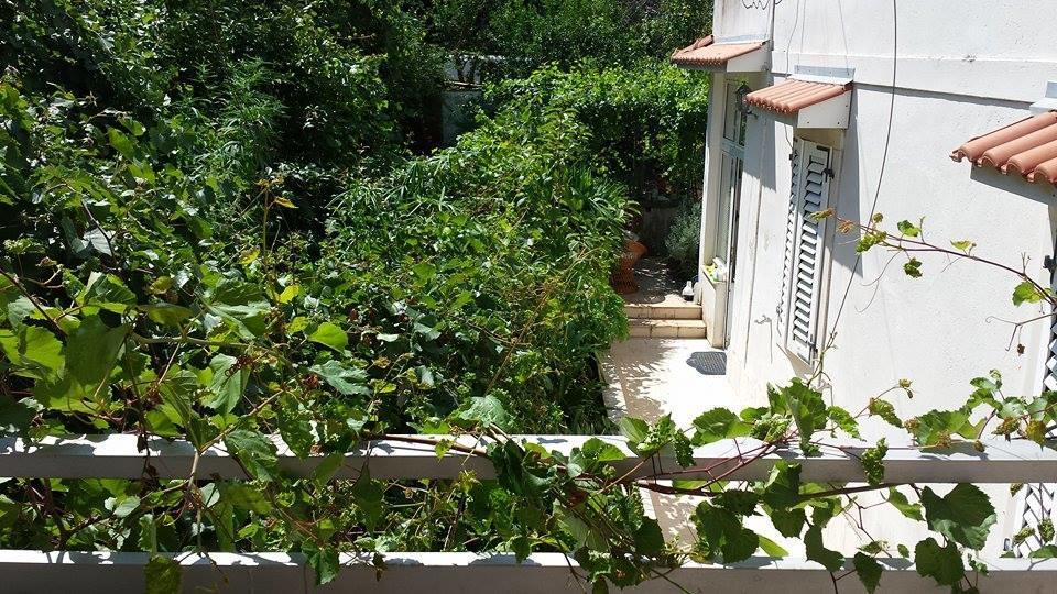 Apartments Lima Lazaneo Jelsa  Ngoại thất bức ảnh